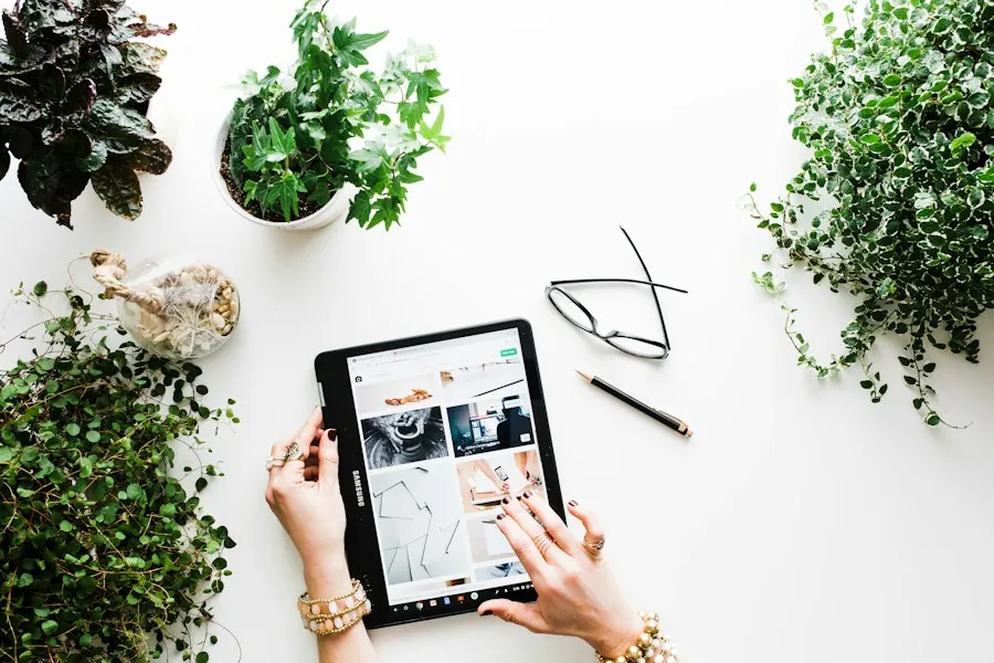 Photo digital organization tips
